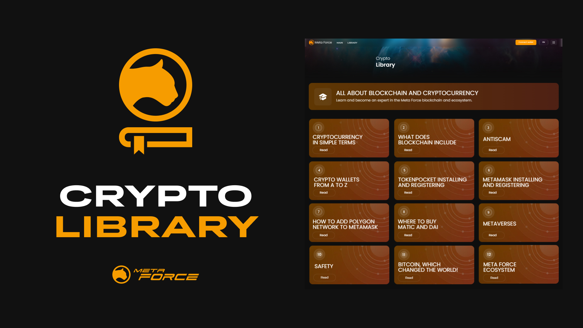 Meta Force — Metaverse where virtuality meets reality